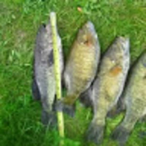 Meet your Posher, Ben